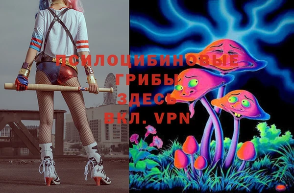 амф Вяземский