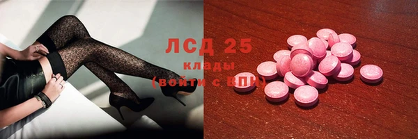 амф Вяземский