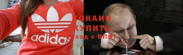 амф Вяземский