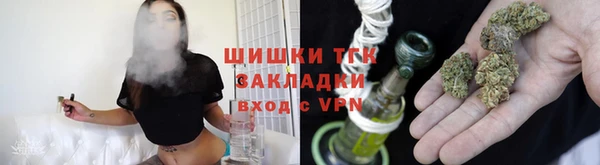 PSILOCYBIN Вязьма