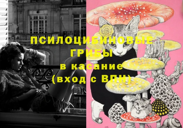 амф Вяземский