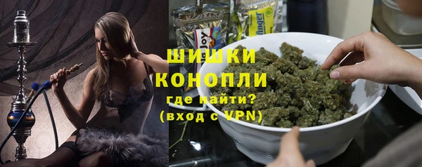 амф Вяземский