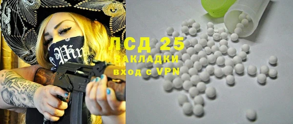 PSILOCYBIN Вязьма