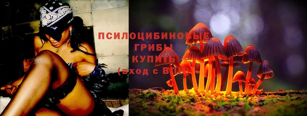 амф Вяземский