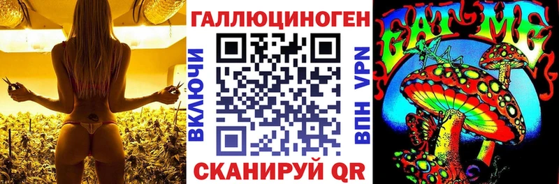 Купить  Находка  Галлюциногенные грибы мухоморы 